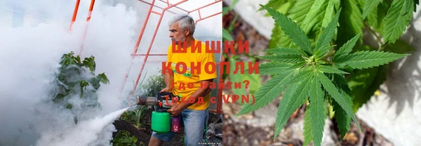 ALPHA PVP Куйбышев