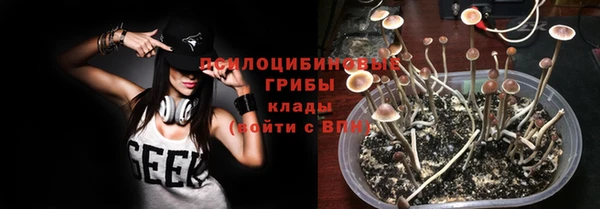 ALPHA PVP Куйбышев