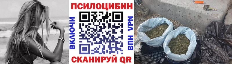 Псилоцибиновые грибы ЛСД  Купить закладки  Карабаш 